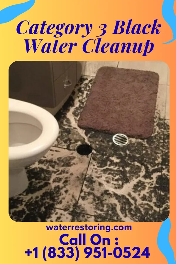 Category 3 Black Water Cleanup in Boardman, OR