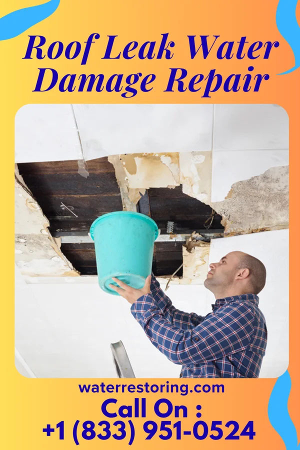 Roof Leak Water Damage Repair in Boardman, OR